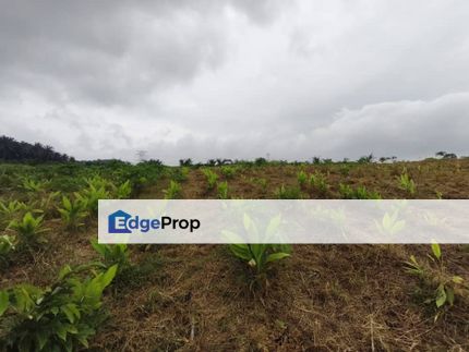 Senai/ Seelong Agriculture Land For Sale, Johor, Senai