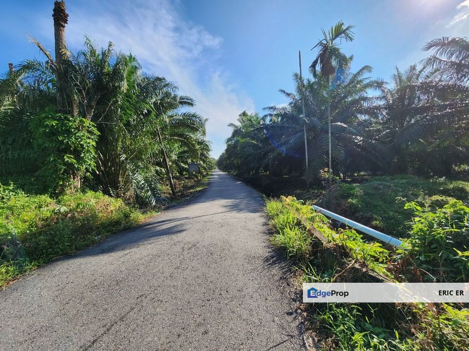 Tanjung Bin, Pontian. Agriculture Land For Sale, Johor, Pontian