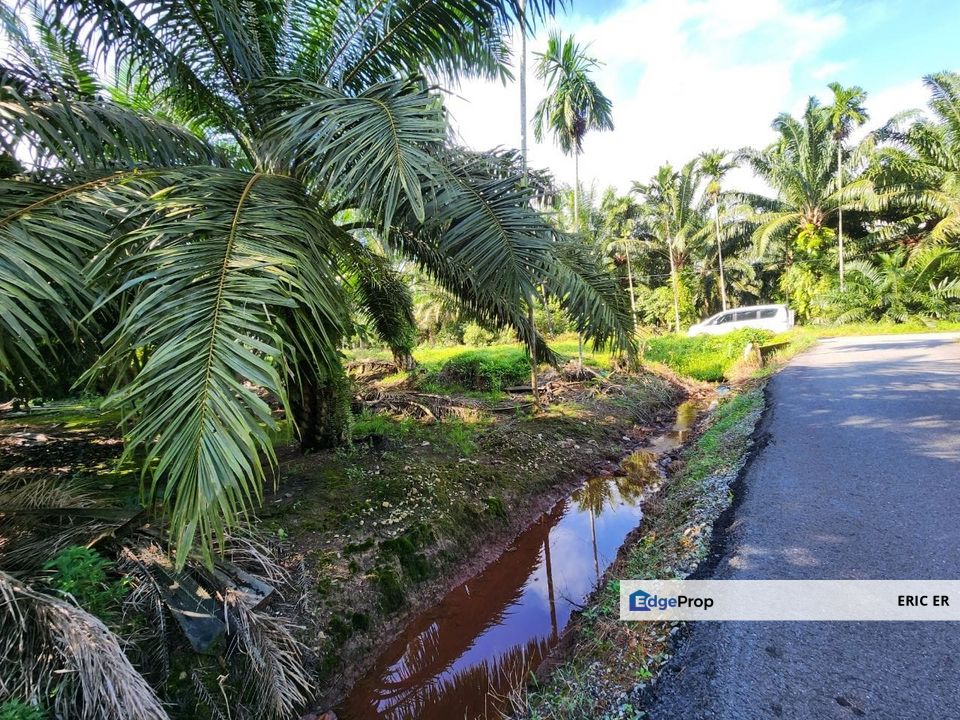 Tanjung Bin, Pontian. Agriculture Land For Sale, Johor, Pontian