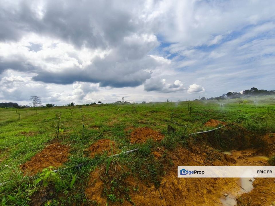 Jalan Sungai Tiram, Seelong. Agriculture Land For Sale, Johor, Senai