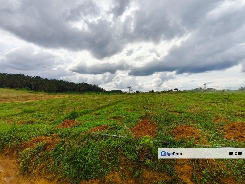 Jalan Sungai Tiram, Seelong. Agriculture Land For Sale, Johor, Senai