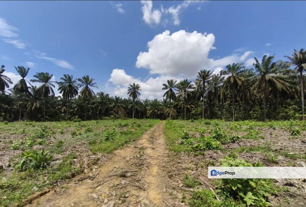 Seelong, Senai Converted Medium Industrial Land For Sale, Johor, Senai