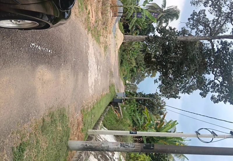 Kampung Baru Kelapa Sawit