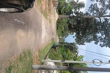 Kampung Baru Kelapa Sawit