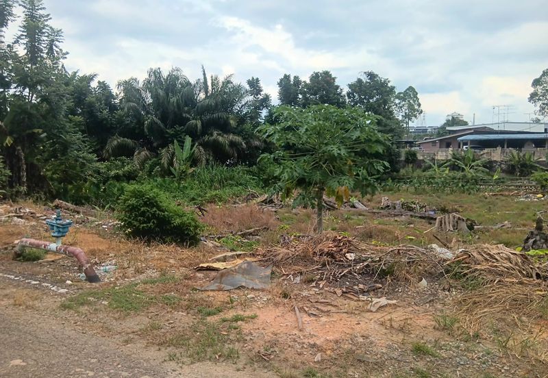 Kampung Baru Kelapa Sawit