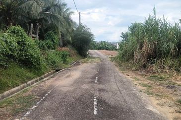 Kampung Baru Kelapa Sawit