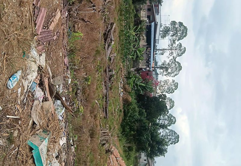 Kampung Baru Kelapa Sawit