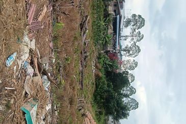 Kampung Baru Kelapa Sawit