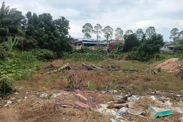 Kampung Baru Kelapa Sawit