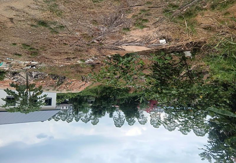Kampung Baru Kelapa Sawit