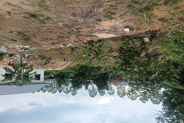 Kampung Baru Kelapa Sawit