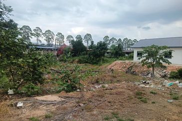 Kampung Baru Kelapa Sawit