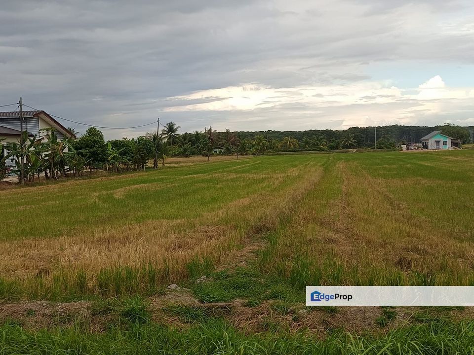 [TANAH PERTANIAN] 2.08 Ekar Freehold  Kampung Parit Penghulu, Sungai Rambai, Melaka
, Melaka, Sungai Rambai