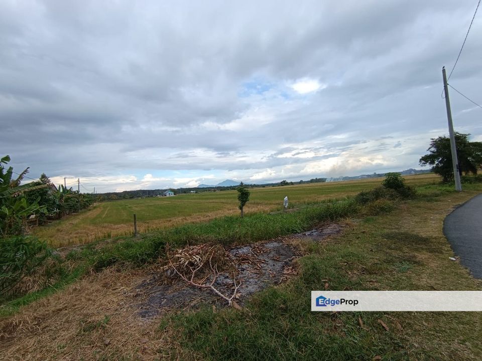 [TANAH PERTANIAN] 2.08 Ekar Freehold  Kampung Parit Penghulu, Sungai Rambai, Melaka
, Melaka, Sungai Rambai