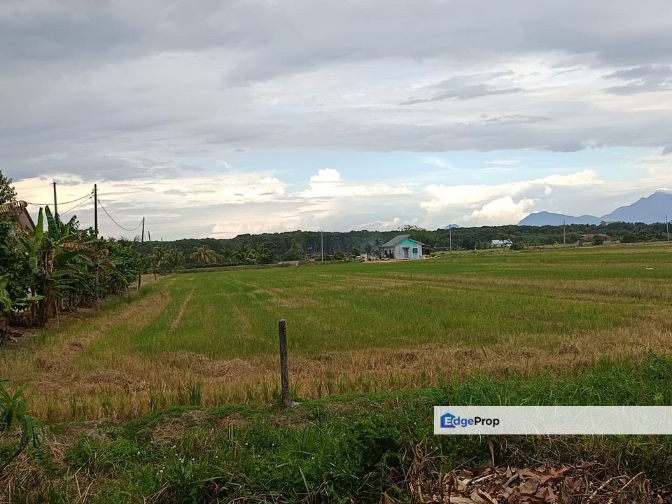 [TANAH PERTANIAN] 2.08 Ekar Freehold  Kampung Parit Penghulu, Sungai Rambai, Melaka
, Melaka, Sungai Rambai