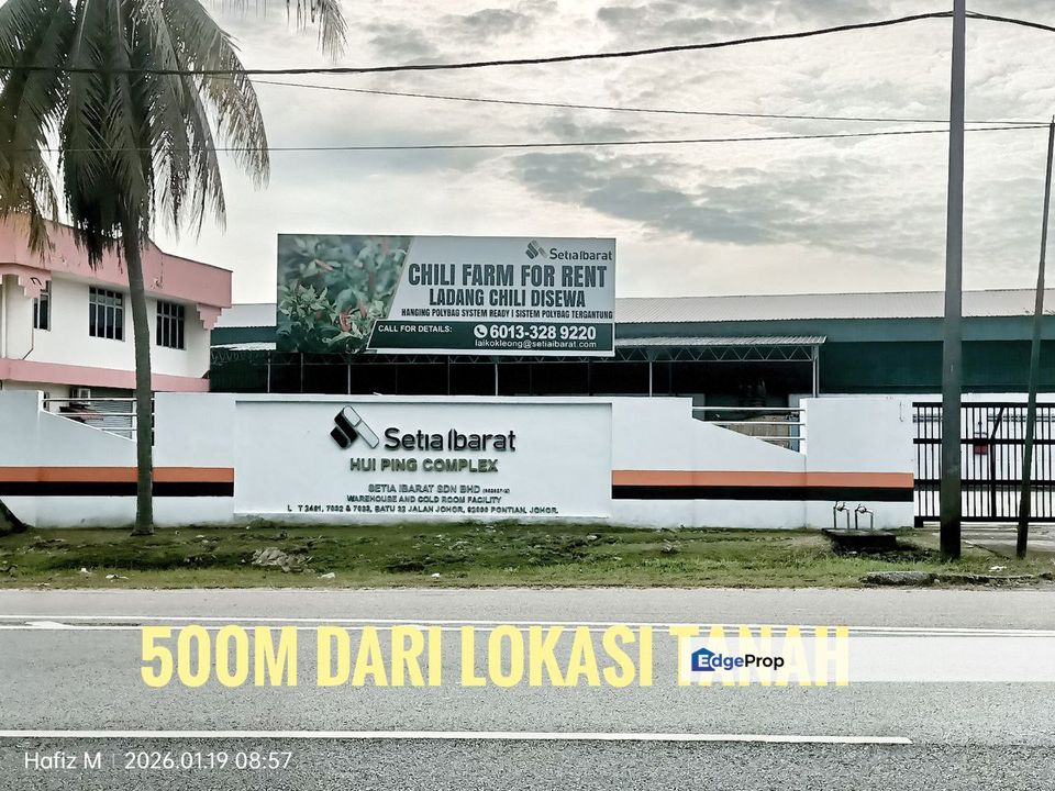 TANAH KEBUN SAWIT UNTUK DIJUAL – BATU 36 1/2, PONTIAN, JOHOR 🌴, Johor, Pontian