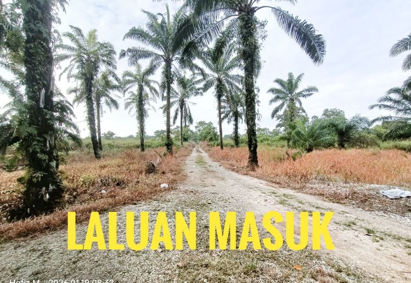Kampung Parit Kassim