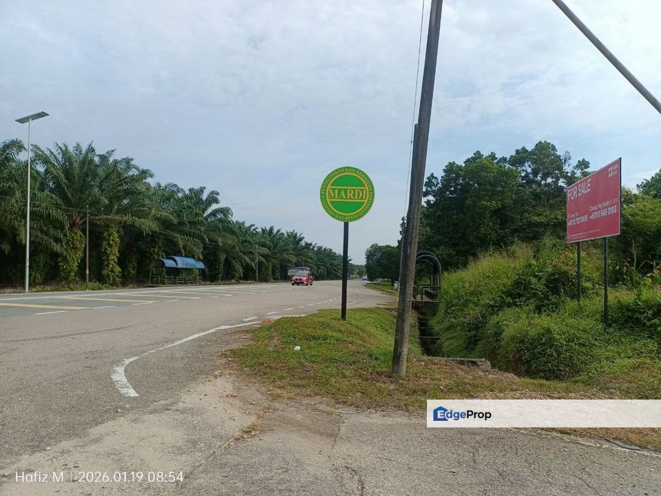 TANAH KEBUN SAWIT UNTUK DIJUAL – BATU 36 1/2, PONTIAN, JOHOR 🌴, Johor, Pontian