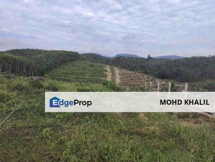 Dangi Johol | 9-Acre Agriculture Land with Pond 💧 | FREEHOLD NON-BUMI , Negeri Sembilan, Johol