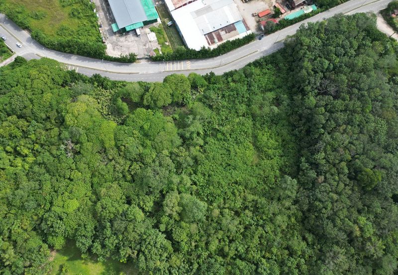 Pusat Bandar Senawang