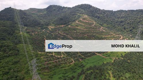 DANGI JOHOL Kuala Pilah  136.7-Acre Ladang Kelapa Sawit BELOW BANK VALUE + ROI LUMAYAN 💰, Negeri Sembilan, Johol