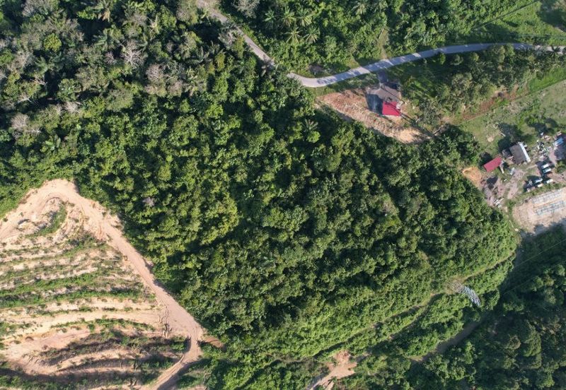 TAMAN IMPIAN UTAMA (KUALA PILAH)