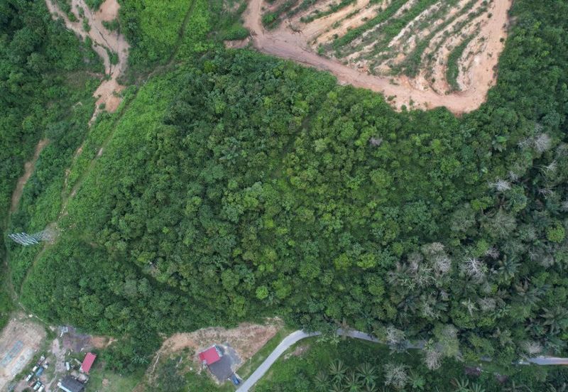 TAMAN IMPIAN UTAMA (KUALA PILAH)