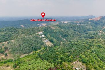 Seksyen 17 @ Shah Alam