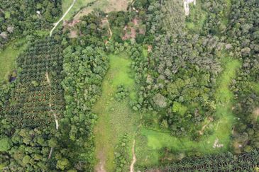 Kampung Sungai Pening