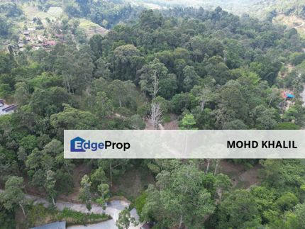 Janda Baik, Bentong | 6-Acre Agriculture Land | FREEHOLD 🌱 REZAB MELAYU ✅ ROAD ACCESS 🚗, Pahang, Bentong