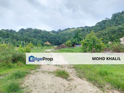 Pekan Pantai, Seremban  8.68-Acre Dusun Durian & Kolam Ikan 🌳🐟  FREEHOLD Non-Bumi 🔥, Negeri Sembilan, Seremban