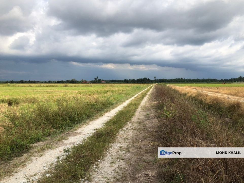 Parit 11 Sungai Panjang | Agriculture Land 🌱 | GERAN KONGSI + VIEW HIJAU CANTIK ✅, Selangor, Sabak Bernam
