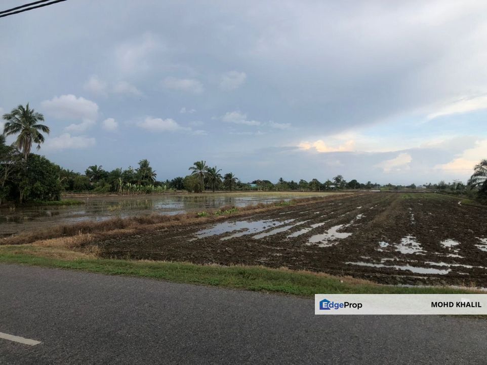 Jalan Radin Mas, Sawah Sempadan Tanjong Karang  1.52-Acre Tanah Pertanian 🌱  VIEW SAWAH CANTIK + SESUAI HOMESTAY 🏡, Selangor, Kuala Selangor