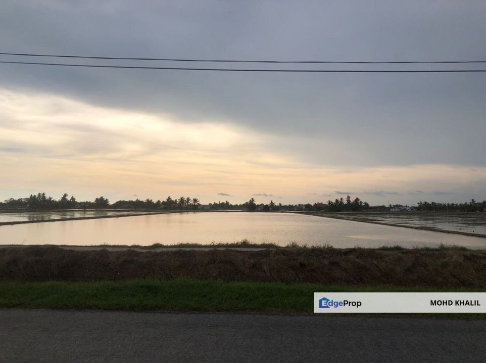 Jalan Radin Mas, Sawah Sempadan Tanjong Karang  1.52-Acre Tanah Pertanian 🌱  VIEW SAWAH CANTIK + SESUAI HOMESTAY 🏡, Selangor, Kuala Selangor