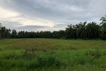 Sekinchan Business Centre