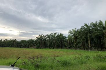 Sekinchan Business Centre