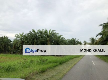 Kg Baru Sentosa, Sekinchan  Tanah Pertanian 2.968 Ekar 🌱  ZONING INDUSTRI + SESUAI PERUMAHAN 🏘️, Selangor, Sekinchan