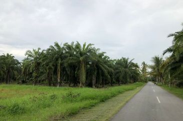 Sekinchan Business Centre