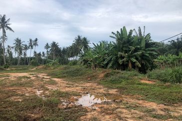 Sekinchan Business Centre