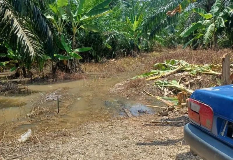 Taman Pontian Perdana