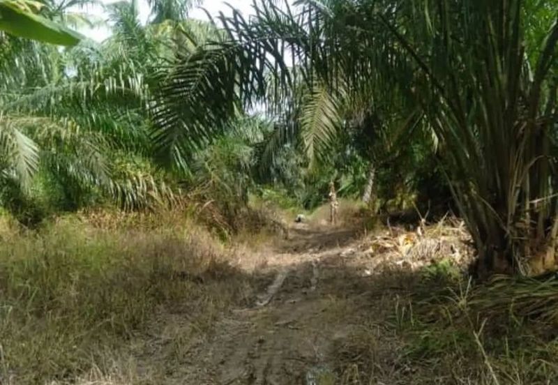 Taman Pontian Perdana