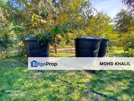 Sungai Lui, Hulu Langat | 2.7-Acre Agricultural Land | 🌳 70 Durian Trees + Natural Stream, Selangor, Hulu Langat