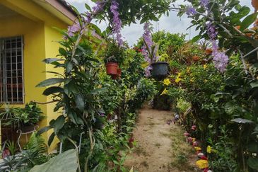 KAMPUNG BARU SIMPANG DURIAN