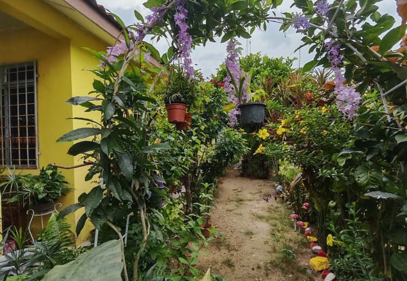 KAMPUNG BARU SIMPANG DURIAN