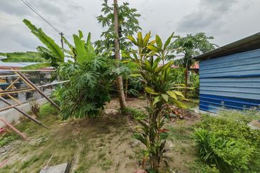 KAMPUNG BARU SIMPANG DURIAN