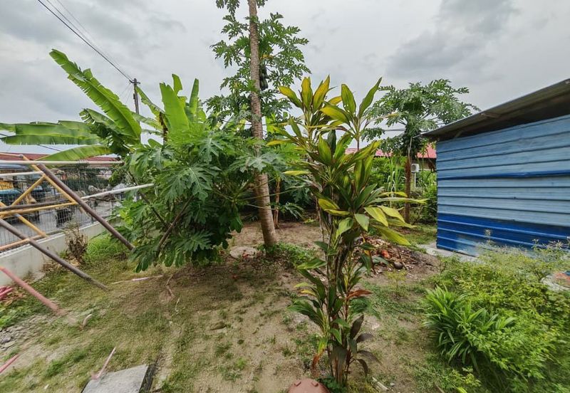 KAMPUNG BARU SIMPANG DURIAN