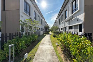 Setia Warisan Tropika (Belladonna)