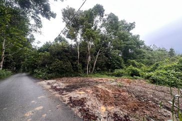 Kampung Lubok Kelubi Batu 19 1/2