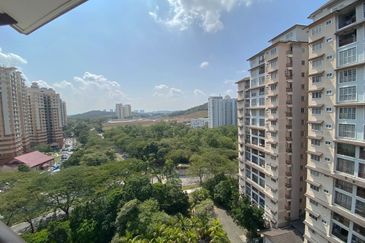 Saujana Aster, Precinct 11