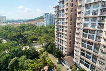Saujana Aster, Precinct 11